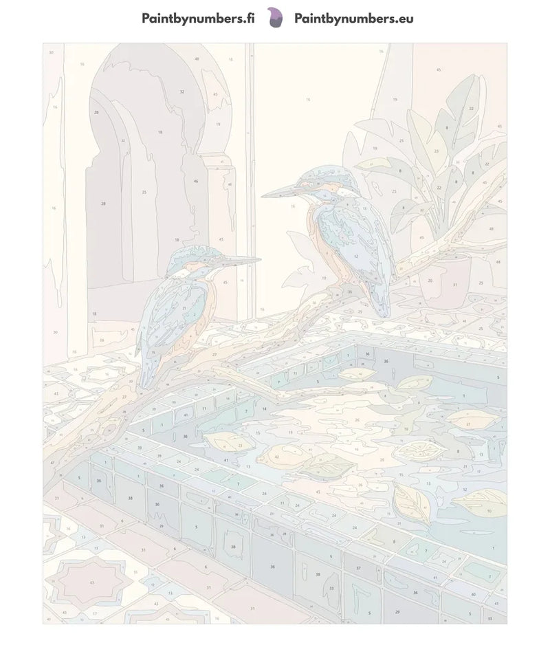 Paint by numbers canvas - Two Kingfishers by Fountain