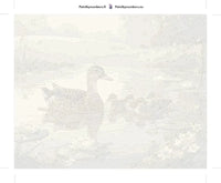 Thumbnail for Eläin numeromaalaus pakkaus