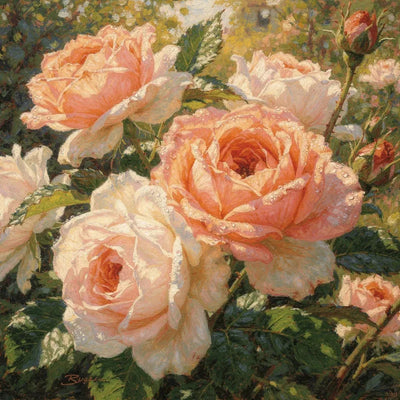 Timanttimaalaus Peach and White Roses