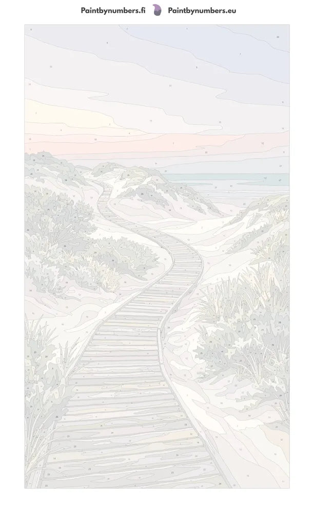 Numeroitu kangas - Wooden Path on Sand Dunes 40x70cm