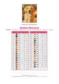 Thumbnail for Golden Retriever timanttimaalauksen värikartta – 33 DMC-väriä