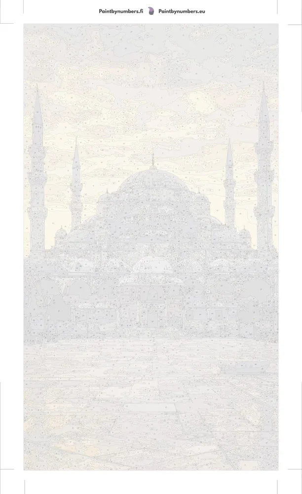 Paint by numbers canvas - Istanbul Mosque at Sunset