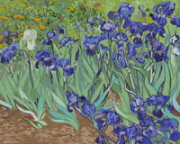 Thumbnail for Irises numeromaalaus - Vincent van Gogh