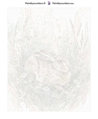 Thumbnail for Paint by numbers canvas - Hare in Daisies