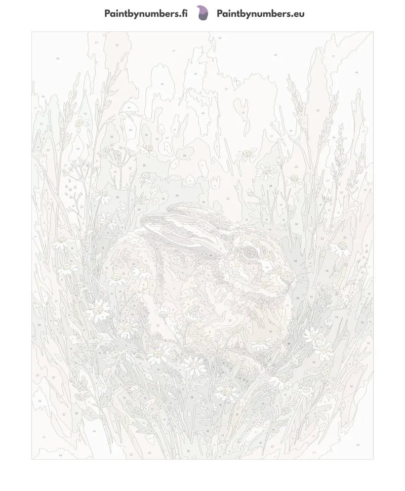 Paint by numbers canvas - Hare in Daisies