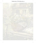 Thumbnail for Kukka numeromaalaus pakkaus