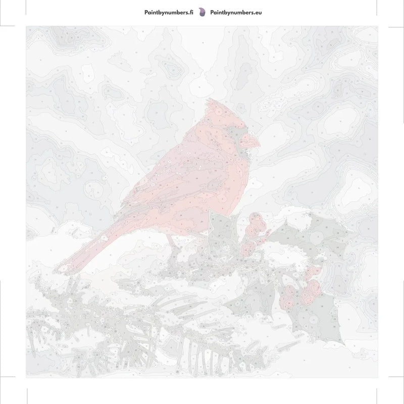 Paint by numbers canvas - Red Cardinal in Snow