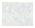Thumbnail for Paint by numbers canvas - Irises