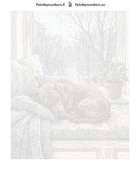 Thumbnail for Numeroitu kangas - Dachshund Sleeping on Bench 40x50cm