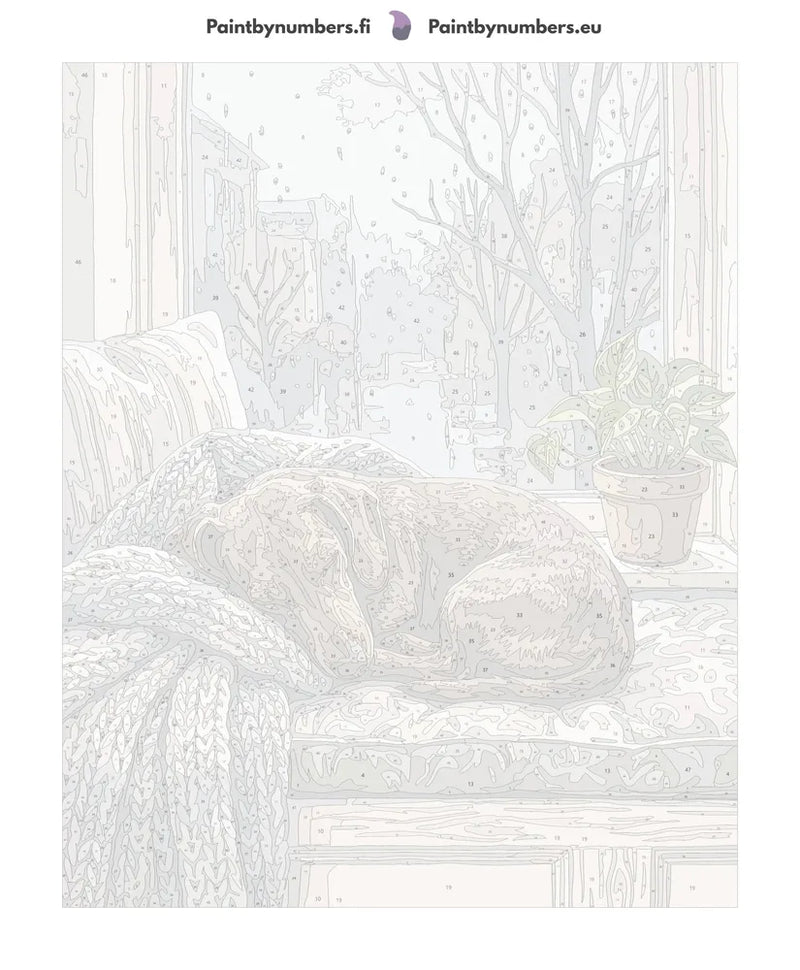Numeroitu kangas - Dachshund Sleeping on Bench 40x50cm