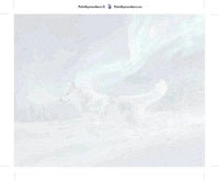 Thumbnail for Susi revontulissa numeromaalaus kangas