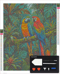 Thumbnail for Two Macaws timanttimaalauksen kangas 40x50cm mukana tulevilla tyokaluilla - timanttikyna, vaha, lajittelutarjotin ja pinsetit