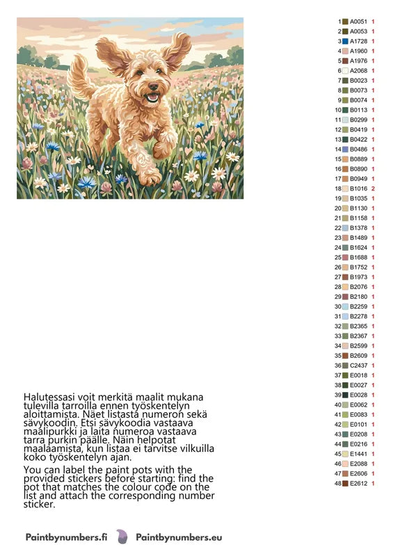 Värikartta ja ohjeet - Curly Dog in Meadow 50x40cm