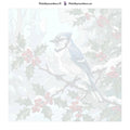 Thumbnail for Paint by numbers canvas - Blue Jay on Branch