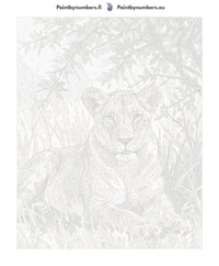 Thumbnail for Paint by numbers canvas - Lioness in Grass