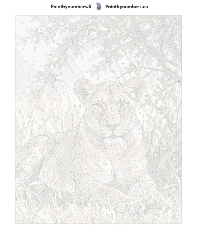 Paint by numbers canvas - Lioness in Grass