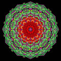 Thumbnail for Timanttimaalaus Natural Colors Mandala