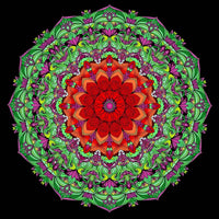 Thumbnail for Timanttimaalaus Natural Colors Mandala