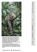 Thumbnail for Color chart and instructions - Baby Elephant in Jungle 40x70cm
