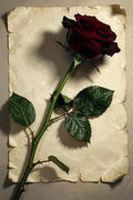 Thumbnail for Timanttimaalaus Red Rose on Paper
