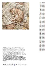 Thumbnail for Värikartta ja ohjeet - Orange Tabby Cat Sleeping 50x50cm