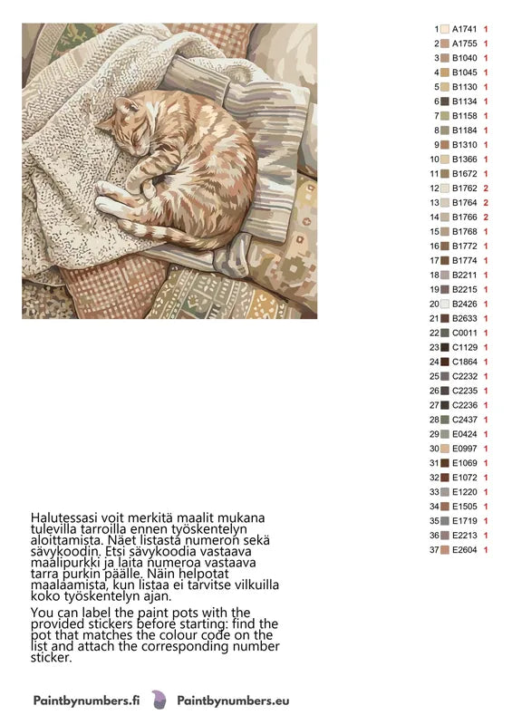 Värikartta ja ohjeet - Orange Tabby Cat Sleeping 50x50cm