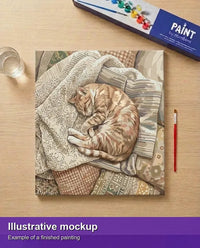 Thumbnail for Valmiin numeromaalauksen havainnekuva - Orange Tabby Cat Sleeping 50x50cm