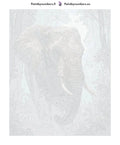 Thumbnail for Numeroitu kangas - Elephant in Forest 40x50cm