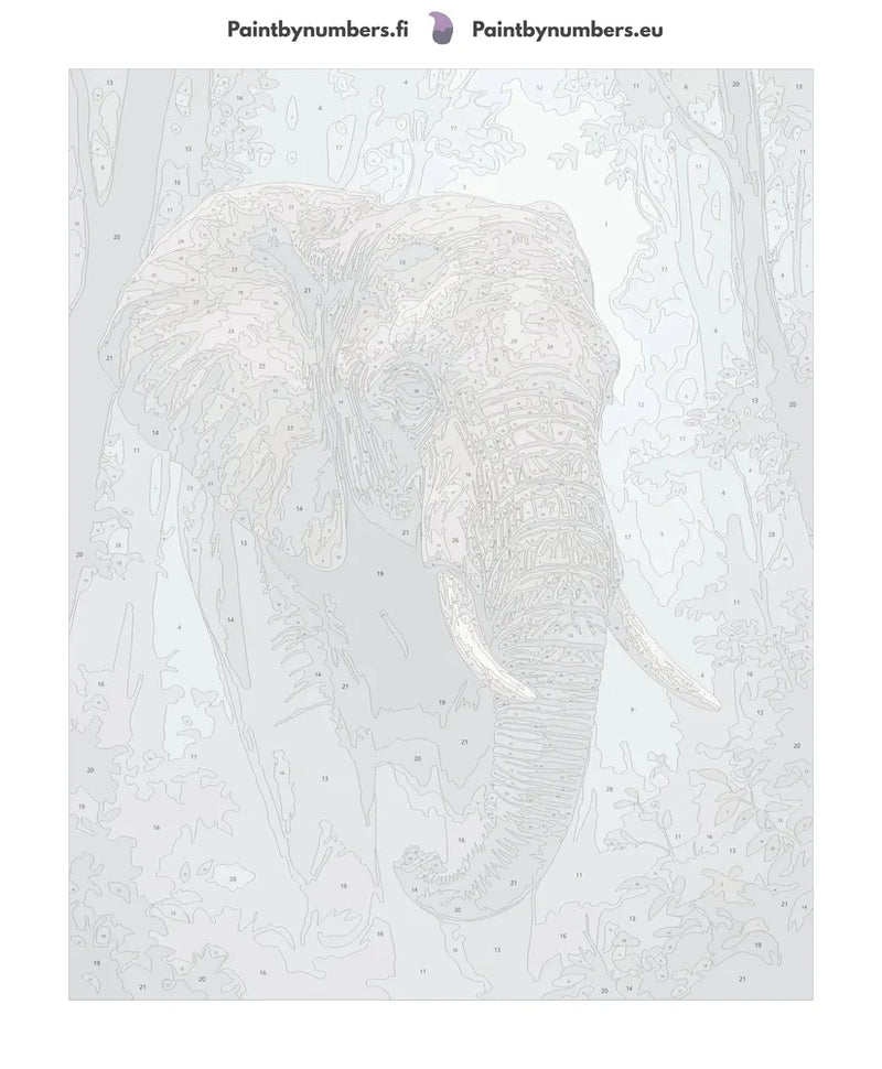 Numeroitu kangas - Elephant in Forest 40x50cm