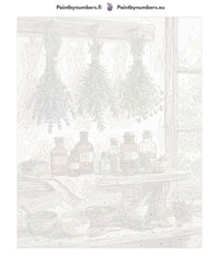 Thumbnail for Paint by numbers canvas - Herbs and Apothecary Bottles