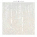 Thumbnail for Paint by numbers canvas - Birch Forest