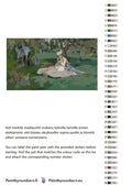 Thumbnail for Paint by numbers color chart - Poppies - väriluettelo ja ohjeet