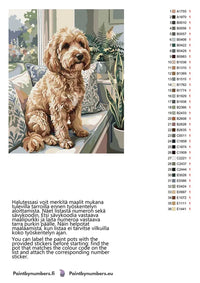 Thumbnail for Värikartta ja ohjeet - Curly Dog on Sofa 40x50cm