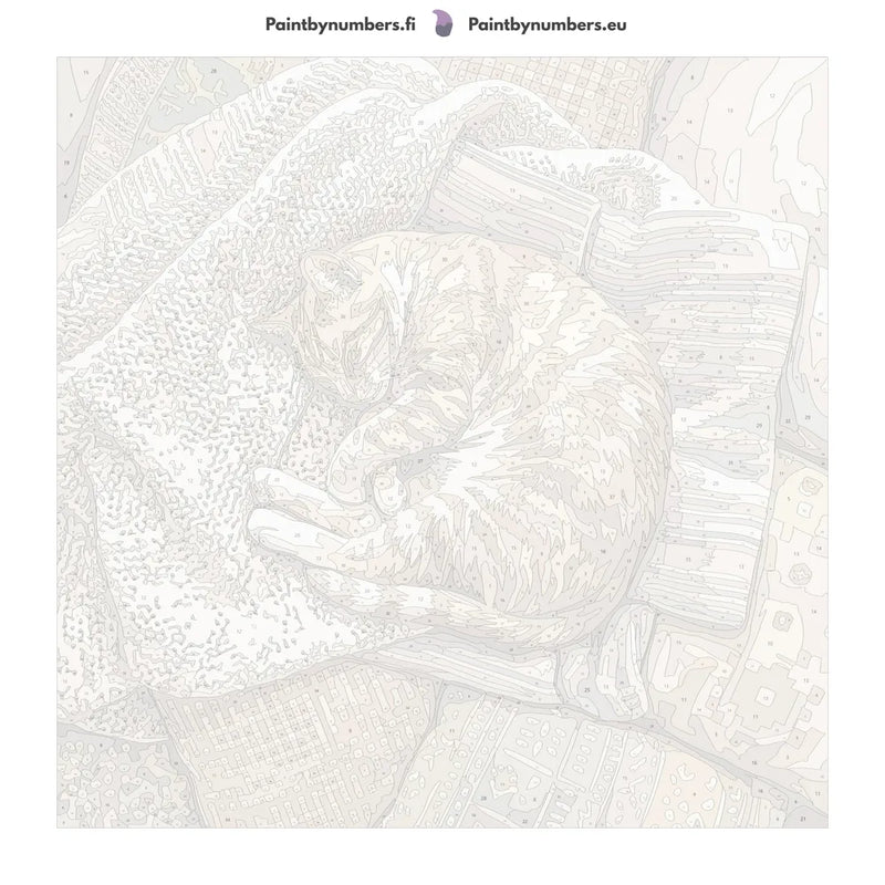 Numeroitu kangas - Orange Tabby Cat Sleeping 50x50cm