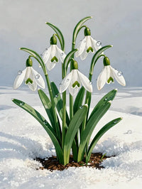 Thumbnail for Timanttimaalaus Snowdrop Blossoms
