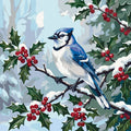Thumbnail for Numeromaalaus Blue Jay on Branch