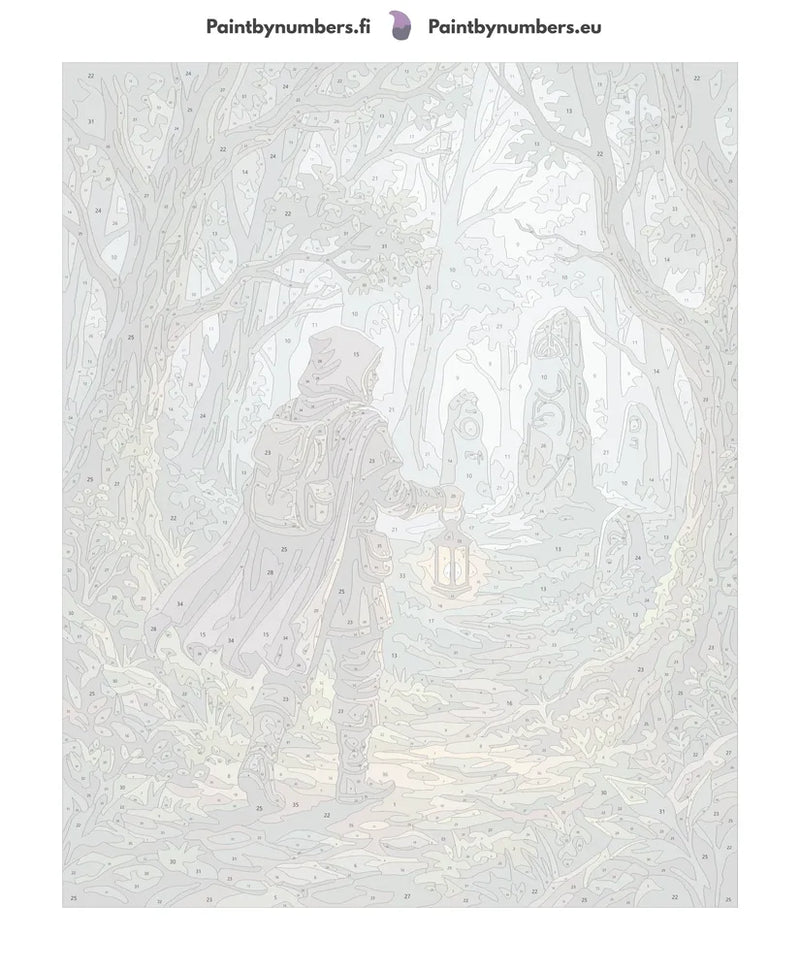 Numbered canvas - Hooded Traveler in Forest 40x50cm