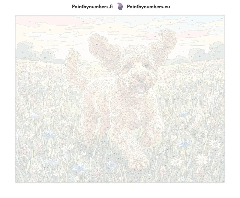 Numeroitu kangas - Curly Dog in Meadow 50x40cm