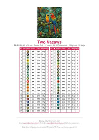 Thumbnail for Two Macaws timanttimaalauksen värikartta – 41 DMC-väriä