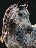 Thumbnail for Timanttimaalaus Floral Mane