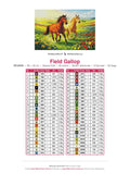Thumbnail for Field Gallop timanttimaalauksen värikartta – 48 DMC-väriä
