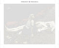 Thumbnail for Paint by numbers canvas - Lemminkainen's Mother