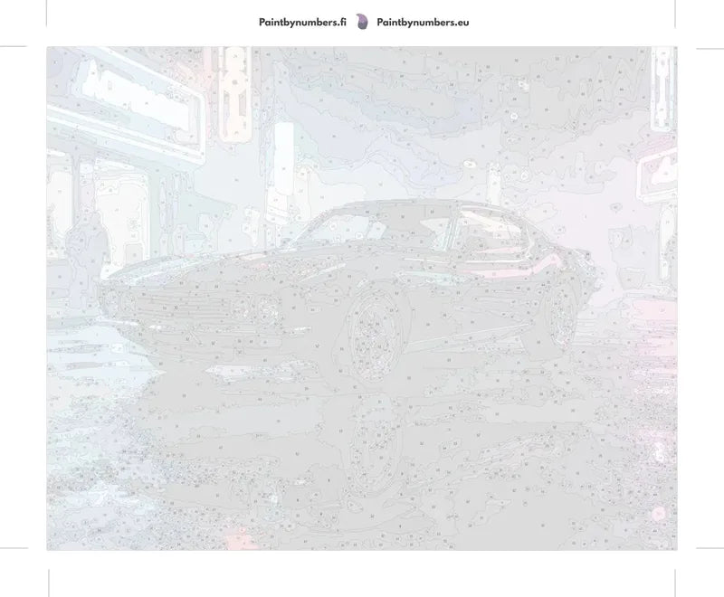 Auto numeromaalaus pakkaus