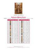 Thumbnail for Autumn Maine Coon timanttimaalauksen värikartta – 32 DMC-väriä
