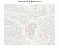 Thumbnail for Numeroitu kangas - Dachshund in Flower Garden 50x40cm