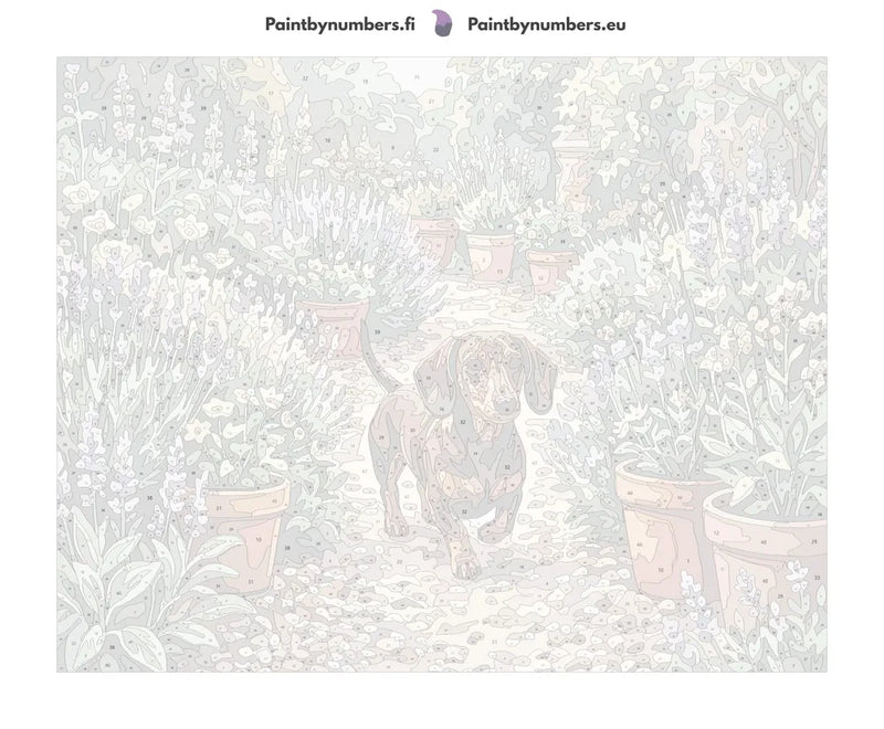 Numeroitu kangas - Dachshund in Flower Garden 50x40cm