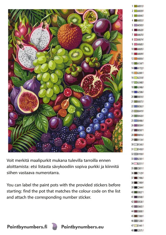 Paint color chart and instructions - Tropical Fruit Assortment 40x50cm