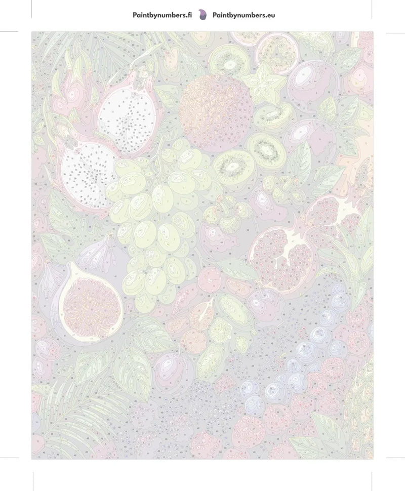 Paint by numbers numbered canvas - Tropical Fruit Assortment 40x50cm