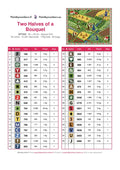 Thumbnail for DMC color chart for Two Halves of a Bouquet diamond painting - 35 colors