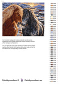 Thumbnail for Paint color chart and instructions - Two Horses in the Snow 50x40cm